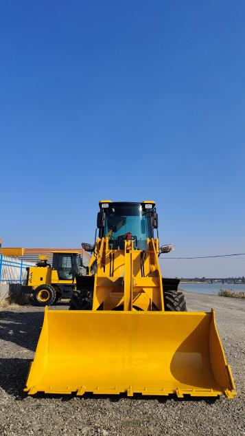 美女的隐藏部位是什么图片