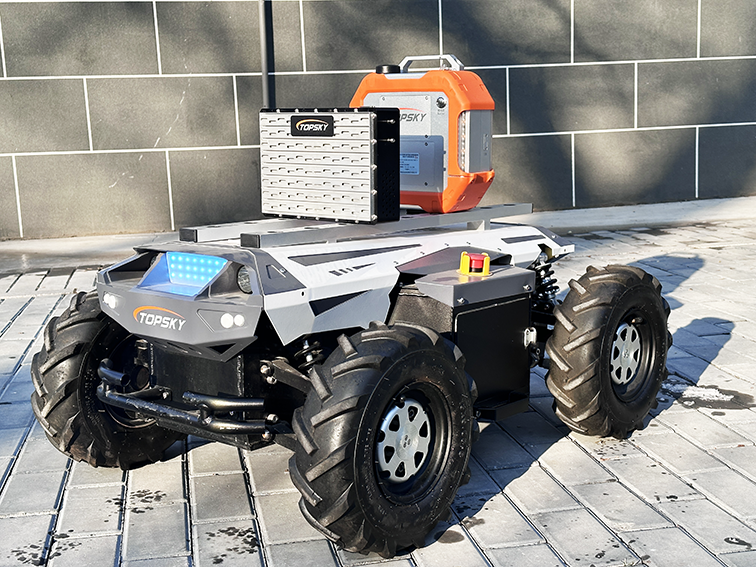 美女的隐藏部位是什么图片