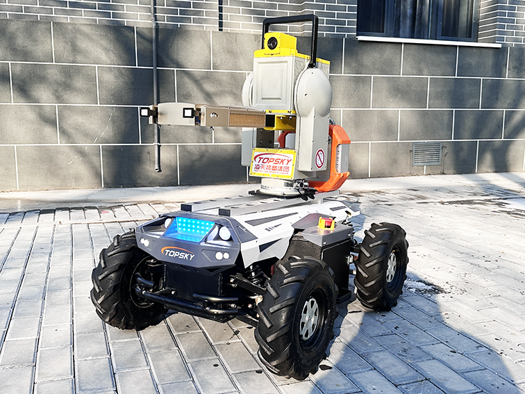 美女的隐藏部位是什么图片