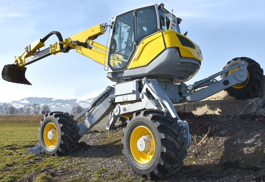 美女的隐藏部位是什么图片