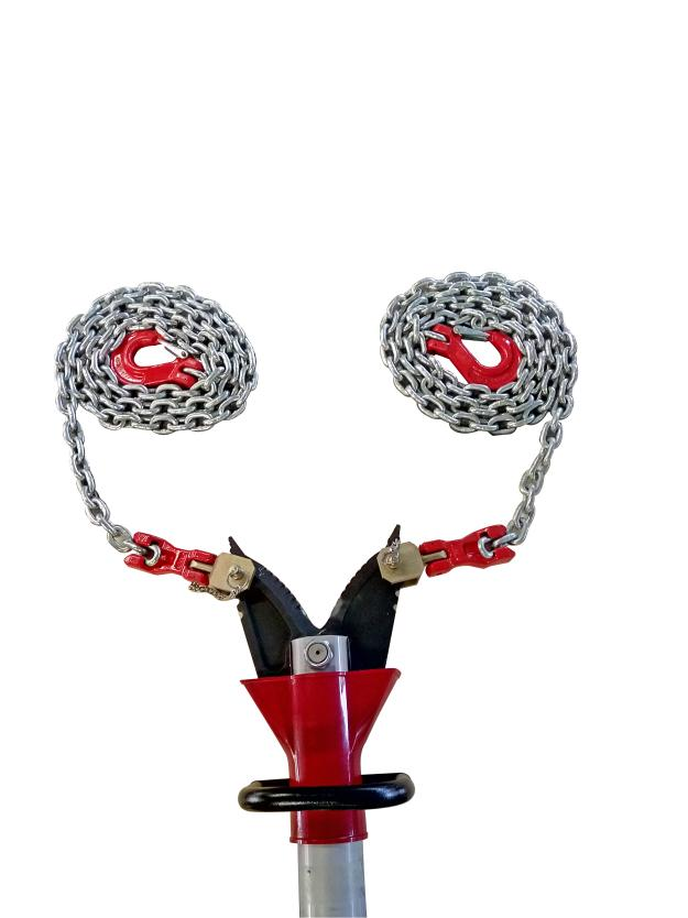 美女的隐藏部位是什么图片