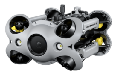 美女的隐藏部位是什么图片