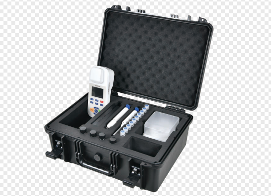 美女的隐藏部位是什么图片