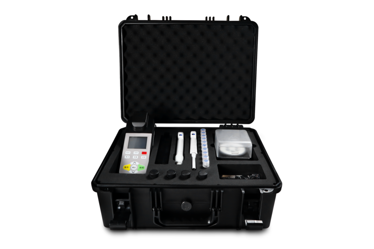 美女的隐藏部位是什么图片