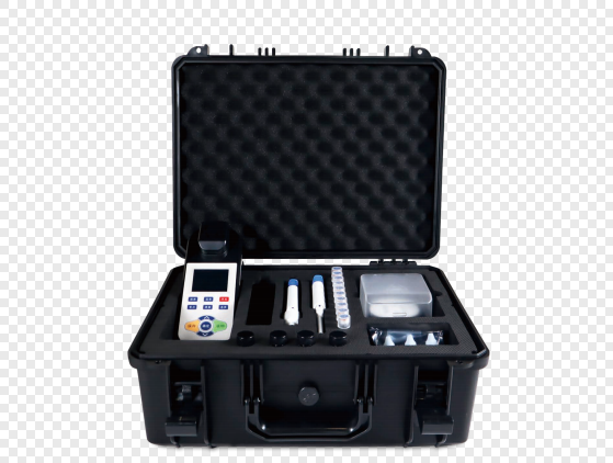 美女的隐藏部位是什么图片