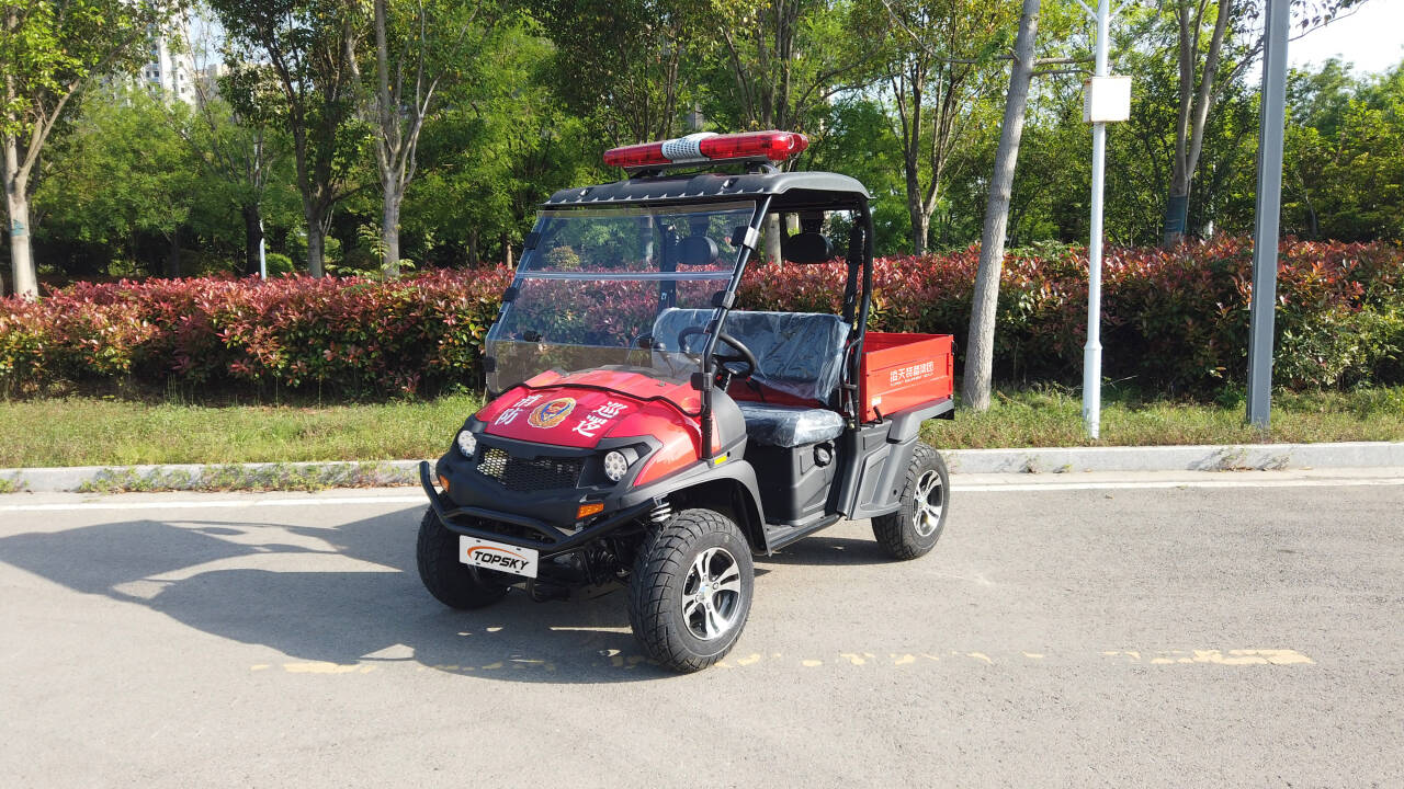 美女的隐藏部位是什么图片