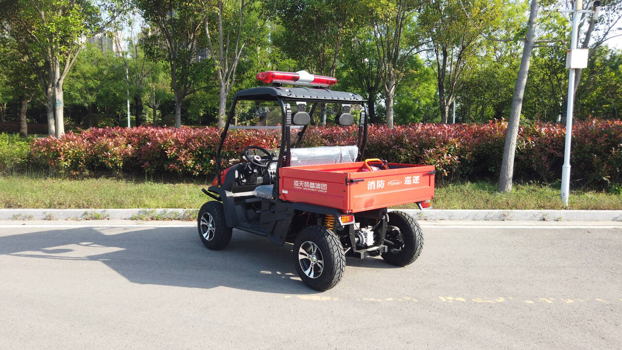 美女的隐藏部位是什么图片