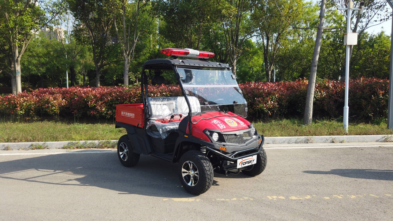 美女的隐藏部位是什么图片