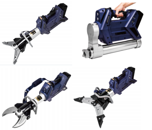 美女的隐藏部位是什么图片