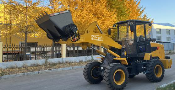 美女的隐藏部位是什么图片