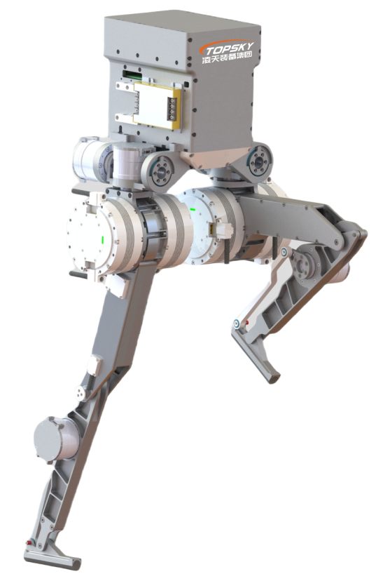 美女的隐藏部位是什么图片