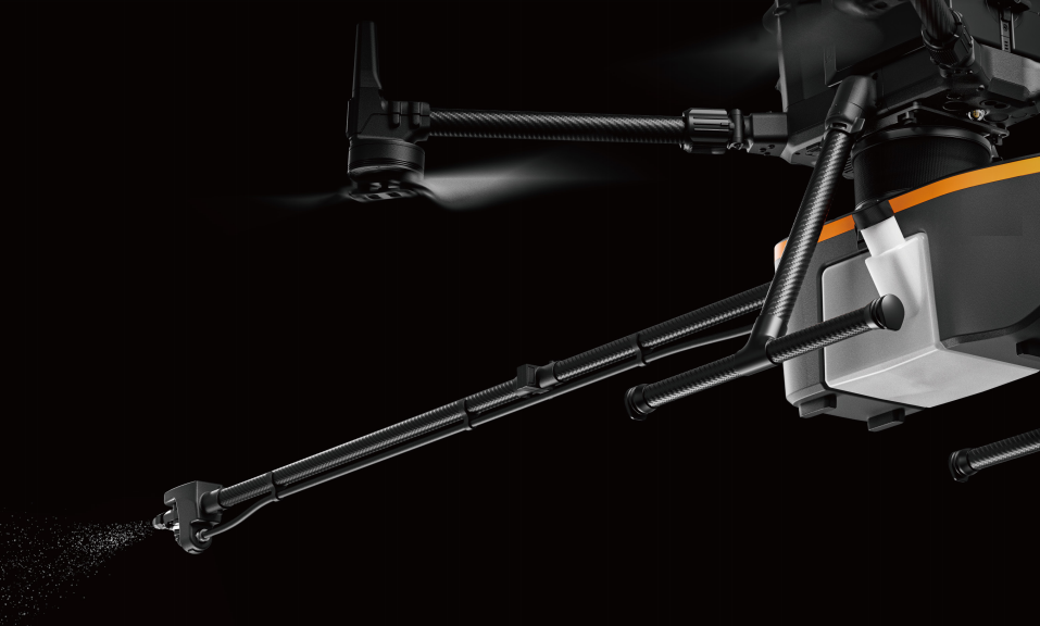 美女的隐藏部位是什么图片