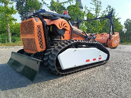 美女的隐藏部位是什么图片