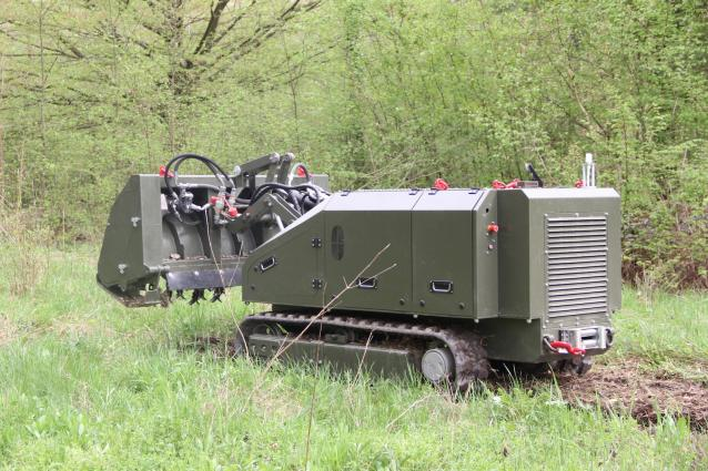 美女的隐藏部位是什么图片