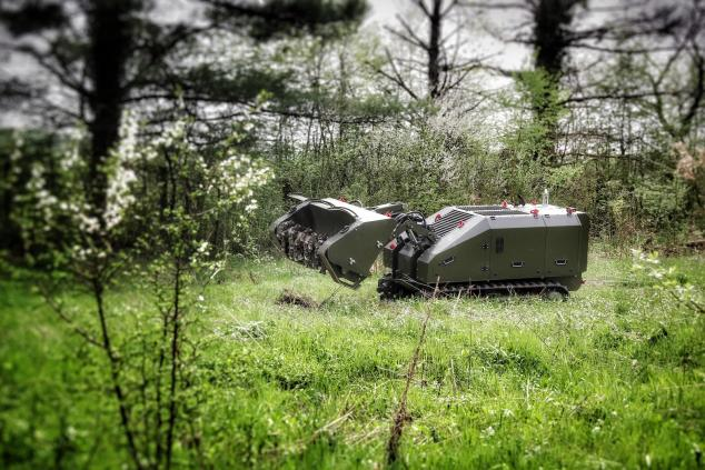 美女的隐藏部位是什么图片