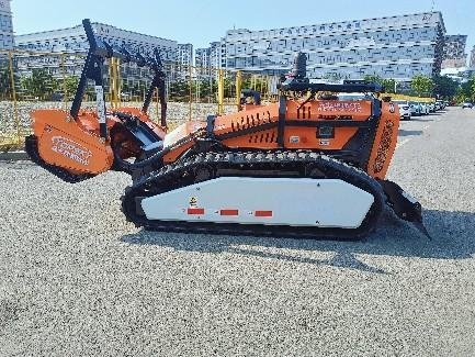 美女的隐藏部位是什么图片