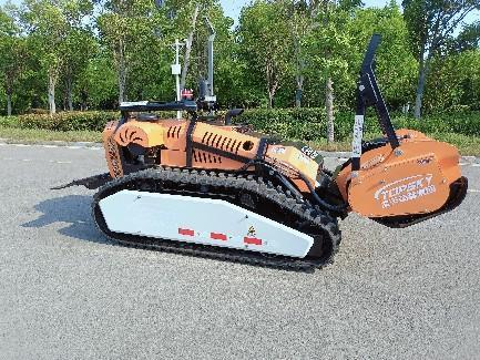 美女的隐藏部位是什么图片