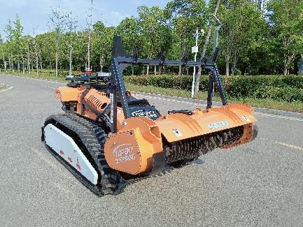 美女的隐藏部位是什么图片