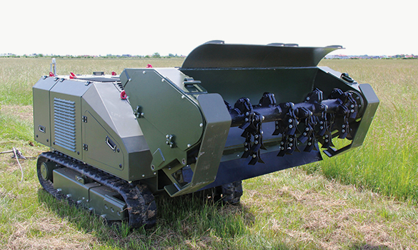 美女的隐藏部位是什么图片