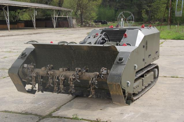 美女的隐藏部位是什么图片