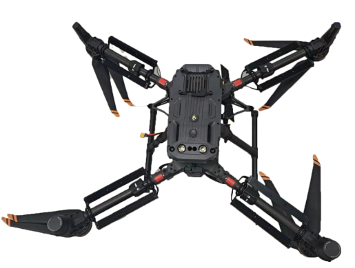 美女的隐藏部位是什么图片