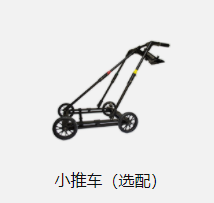 美女的隐藏部位是什么图片