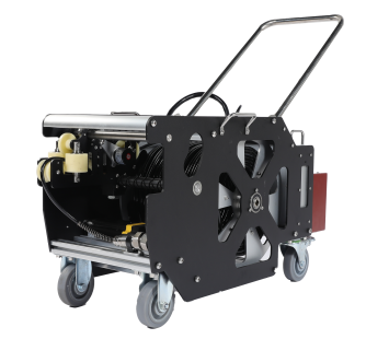 美女的隐藏部位是什么图片