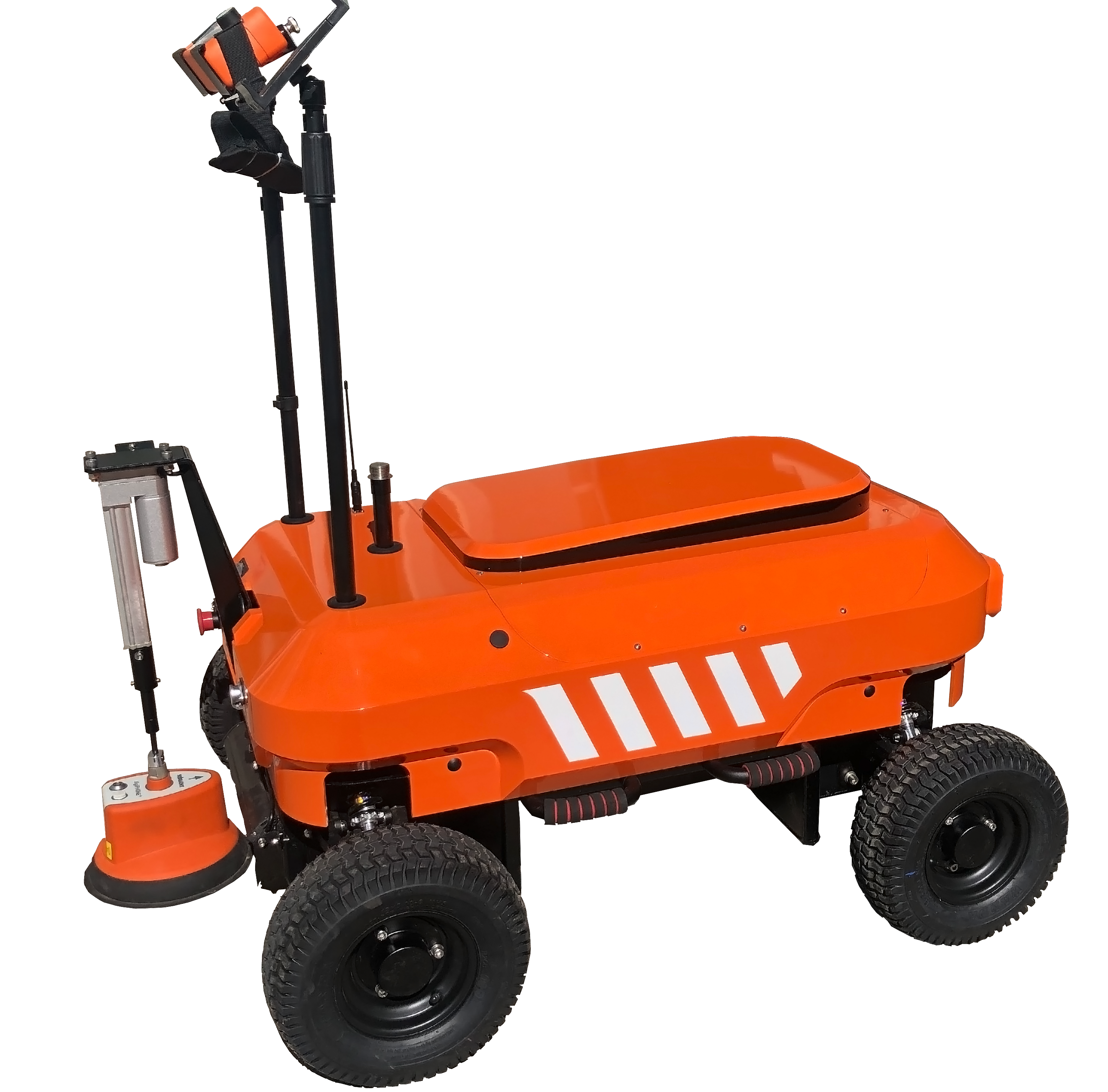 美女的隐藏部位是什么图片