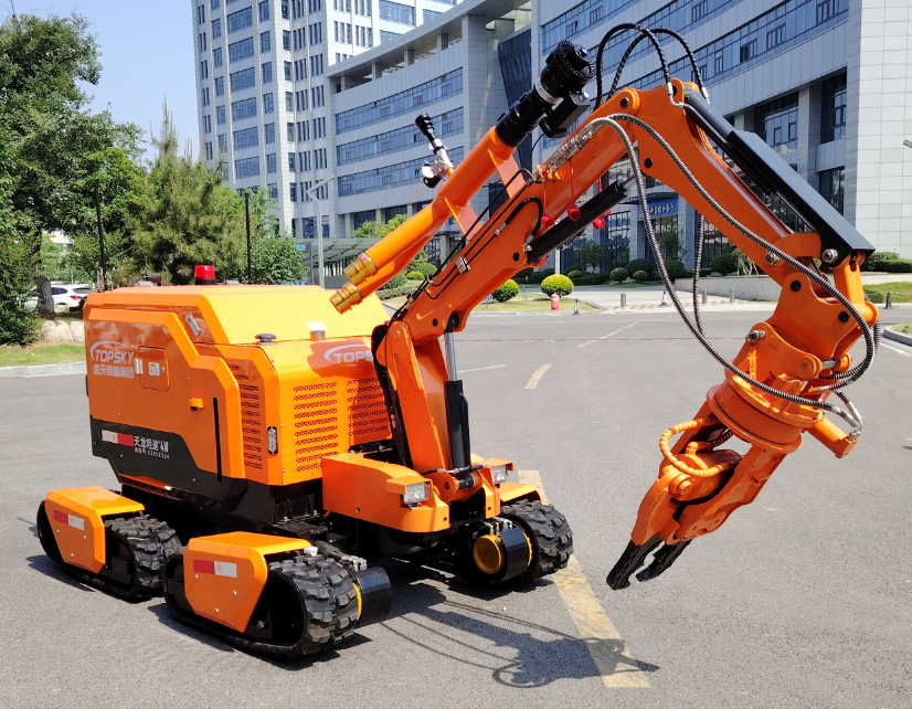 美女的隐藏部位是什么图片