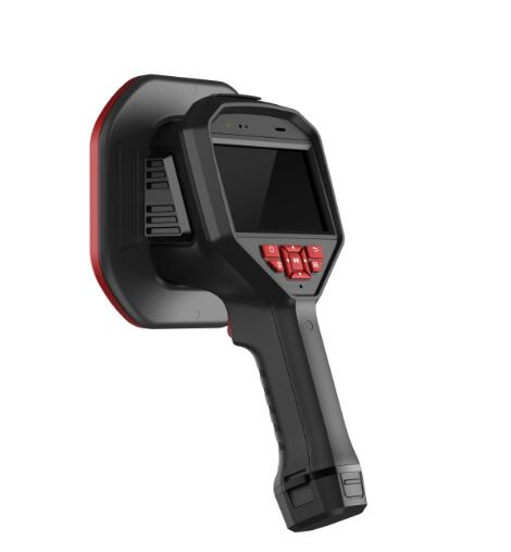 美女的隐藏部位是什么图片