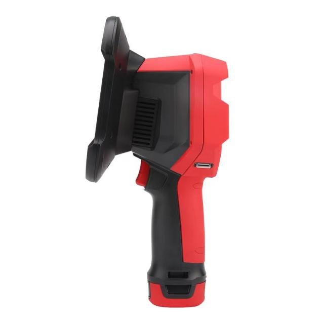 美女的隐藏部位是什么图片