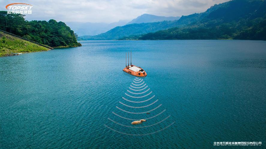 美女的隐藏部位是什么图片