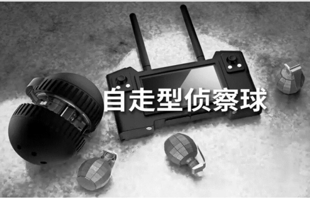 美女的隐藏部位是什么图片