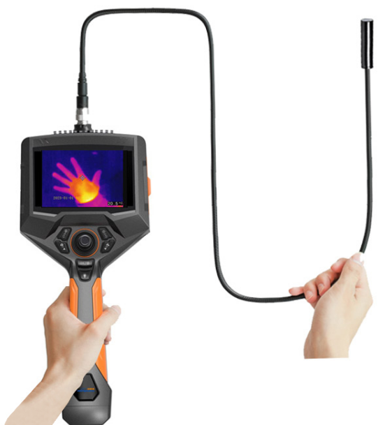 美女的隐藏部位是什么图片