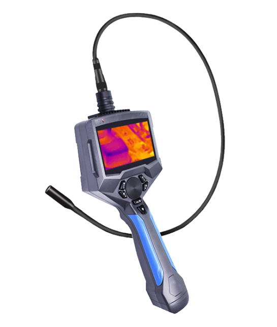 美女的隐藏部位是什么图片