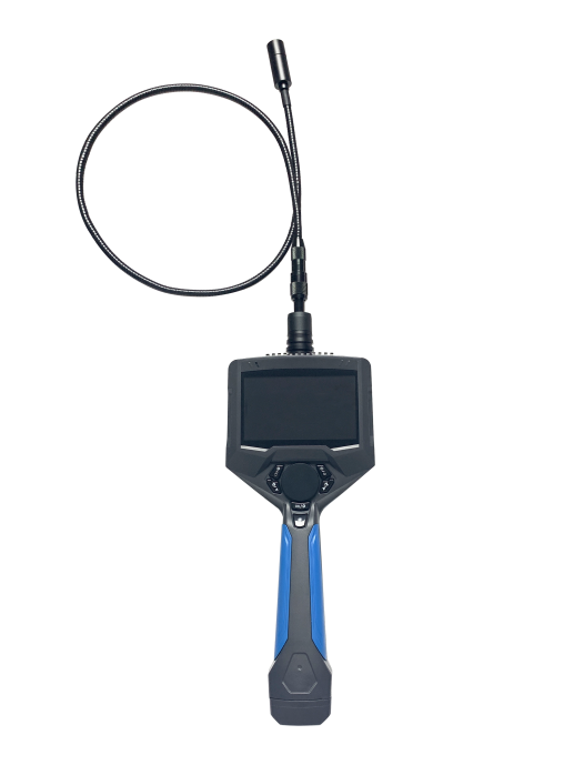 美女的隐藏部位是什么图片