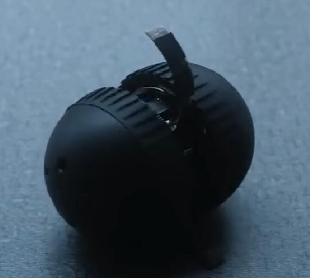 美女的隐藏部位是什么图片