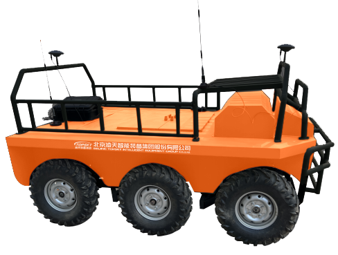 美女的隐藏部位是什么图片