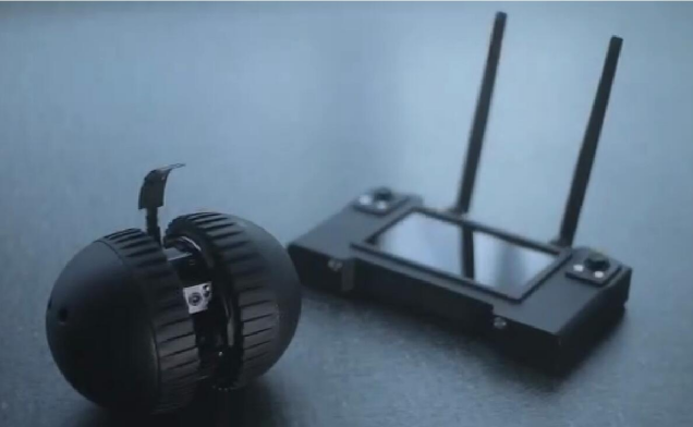 美女的隐藏部位是什么图片