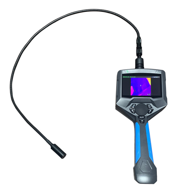 美女的隐藏部位是什么图片