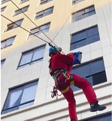 美女的隐藏部位是什么图片