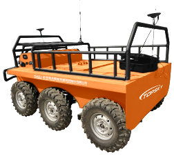 美女的隐藏部位是什么图片