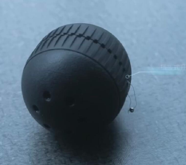 美女的隐藏部位是什么图片