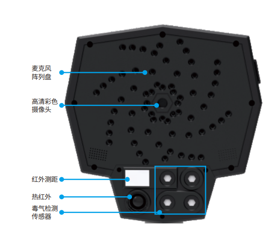 美女的隐藏部位是什么图片
