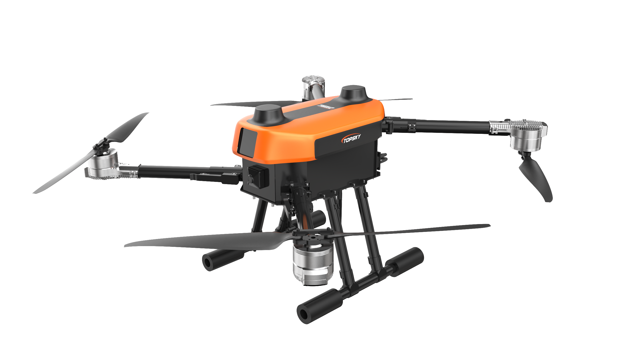 美女的隐藏部位是什么图片