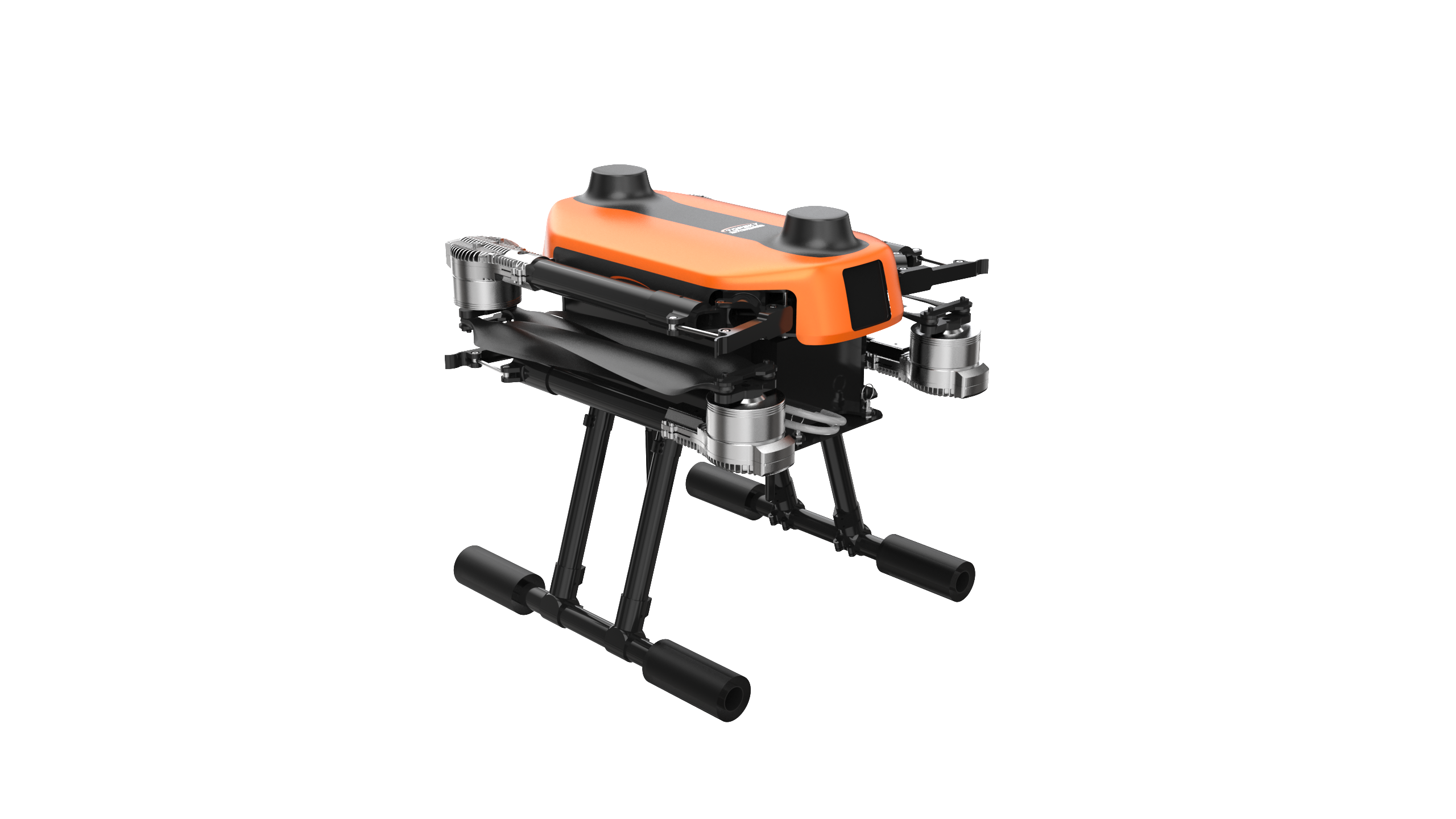 美女的隐藏部位是什么图片