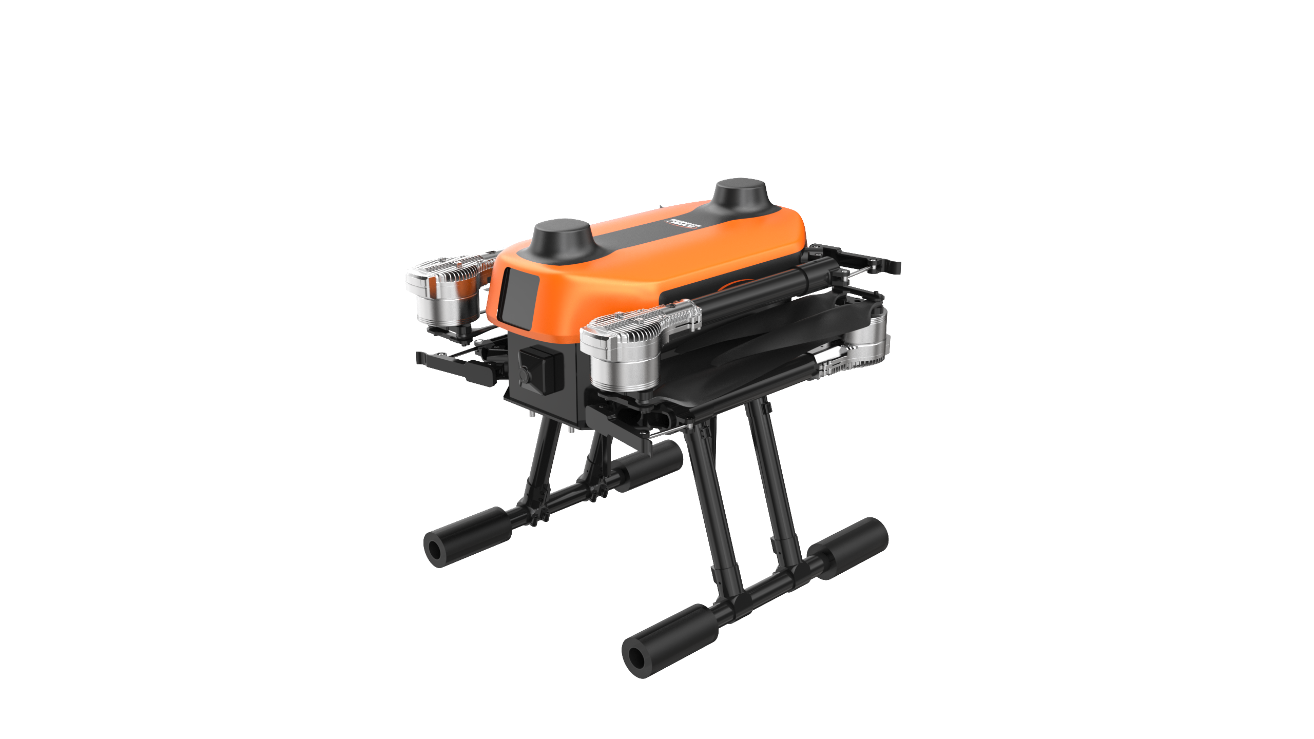 美女的隐藏部位是什么图片