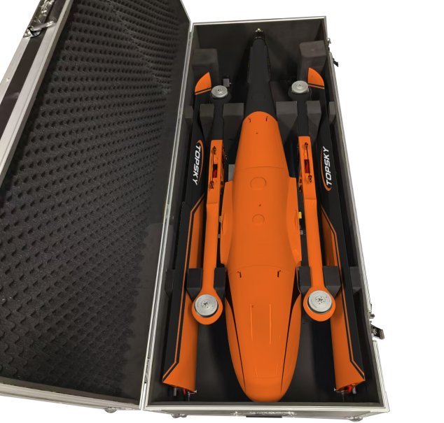 美女的隐藏部位是什么图片