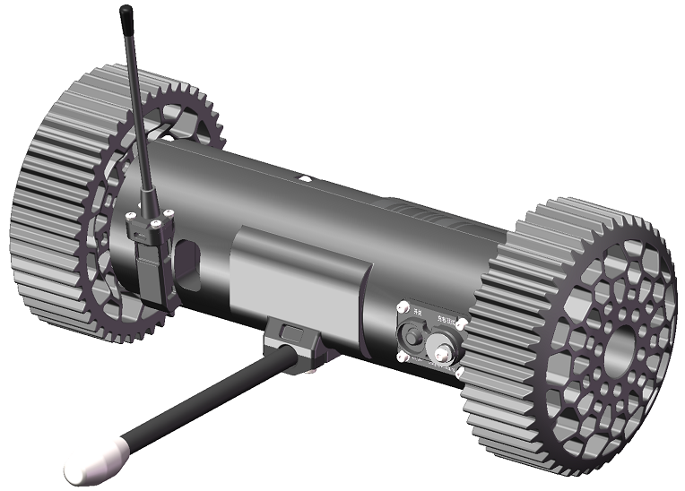 美女的隐藏部位是什么图片