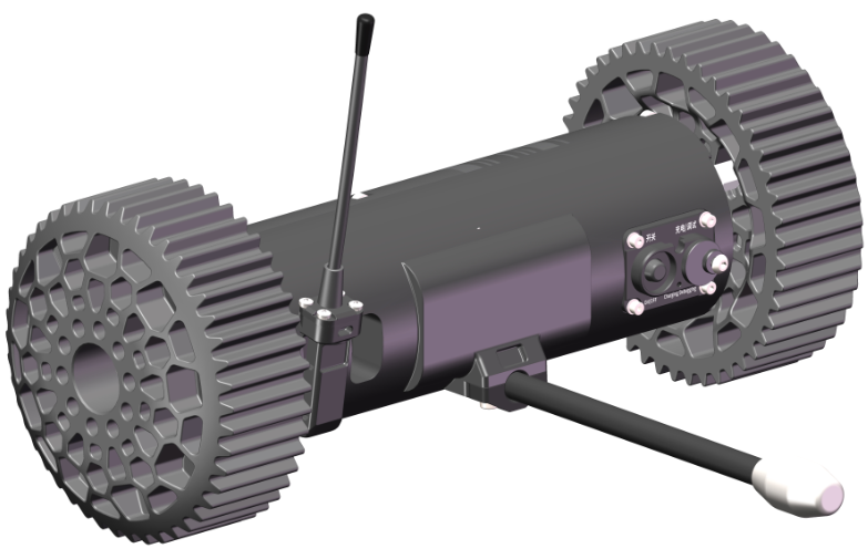 美女的隐藏部位是什么图片